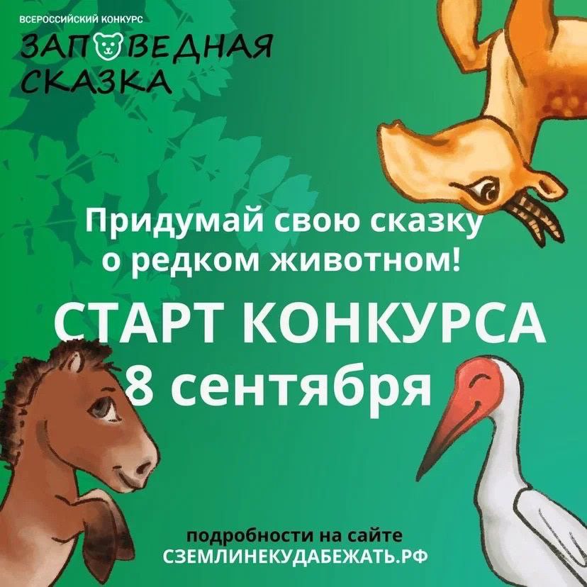 c063a799-3886-4100-82b6-8e60eaecee32.jpg