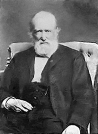 Teodor Shtorm